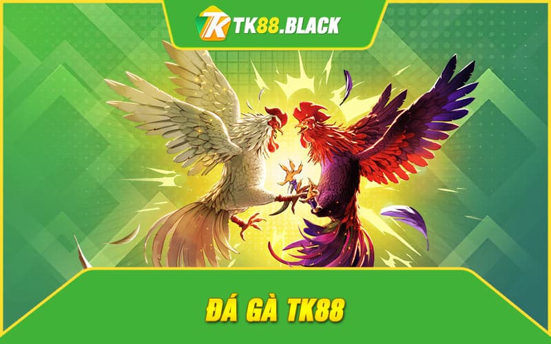 Đá gà